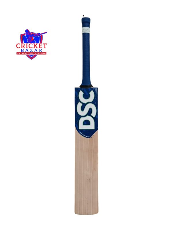 DSC Blu 111- English Willow Cricket Bat- SH