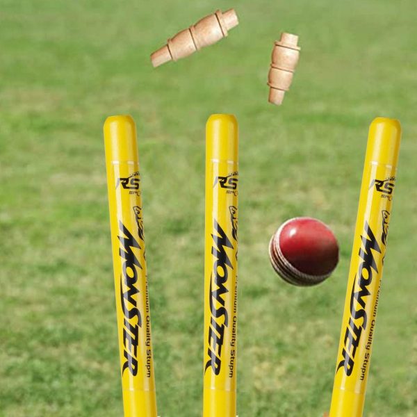 Cricket Stumps and Bails