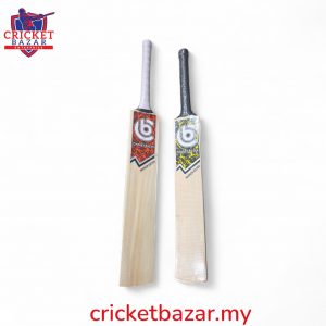 CB Warrior Kashmir Willow Cricket Bat (SH, Harrow and Size 6)